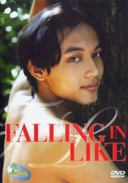 Falling in like - DVD Gay Asiat