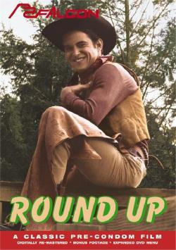 Round up - DVD Falcon
