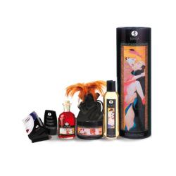 Shunga - Kit Plaisirs Charnels