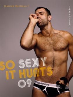 So Sexy It Hurts - Calendar 2009
