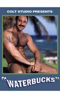 Waterbucks - DVD Colt Studio