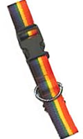 Collier pour chien rainbow