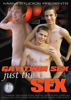 Gay Twin Sex, Just the Sex - DVD Miami Studios