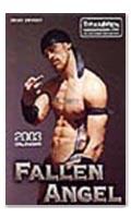 Fallen Angel 2003