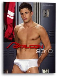 Falcon - Calendar 2010