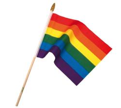 Drapeau (On a Stick) Rainbow Pride 30x20 cm