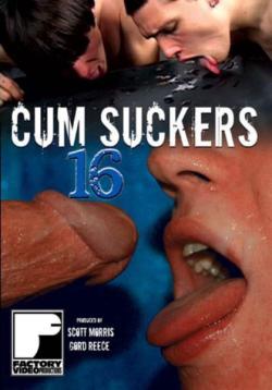 Cum Suckers 16  - DVD Factory Video