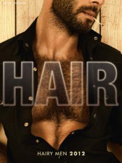 Hairy Men in Gay Art - Calendar 2012