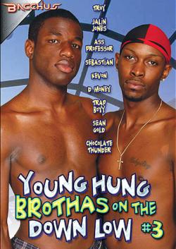 Young Hung Brothas on the Down Low 3 - DVD Bacchus