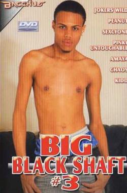 Big Black Shaft 3 - DVD Bacchus