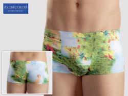 Men's boxer briefs ''PinUp'' - SvenJoyment - Size L
