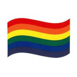 Auto-Collant Rainbow  Flottant 13x7 - classique