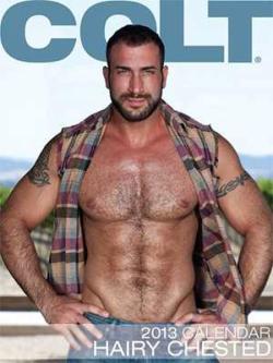 Colt Hairy Chested Men - Calendar 2013