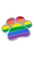 Cliquez pour voir la fiche produit- Pin's Rainbow Paw
