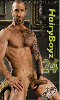 Cliquez pour voir la fiche produit- Hairy Boyz 24 - DVD Raging Stallion