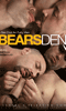 Cliquez pour voir la fiche produit- Bear's Den - DVD Channel 1